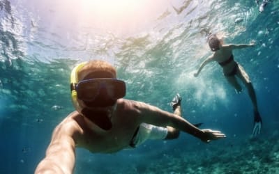 Snorkeling Oahu: Explore 8 Spots For The Best Snorkeling in Oahu