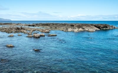 Shark’s Cove: A Snorkeling Paradise on Oahu’s North Shore
