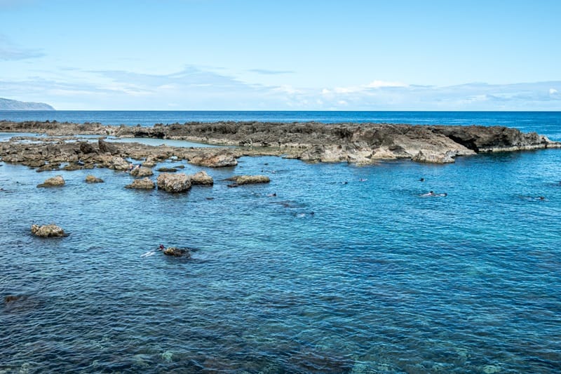 Shark's Cove