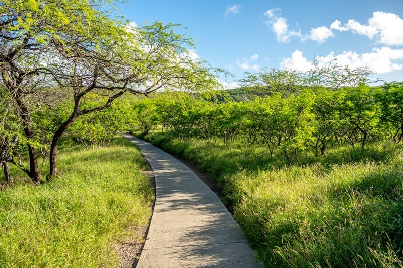 diamond-head-crater