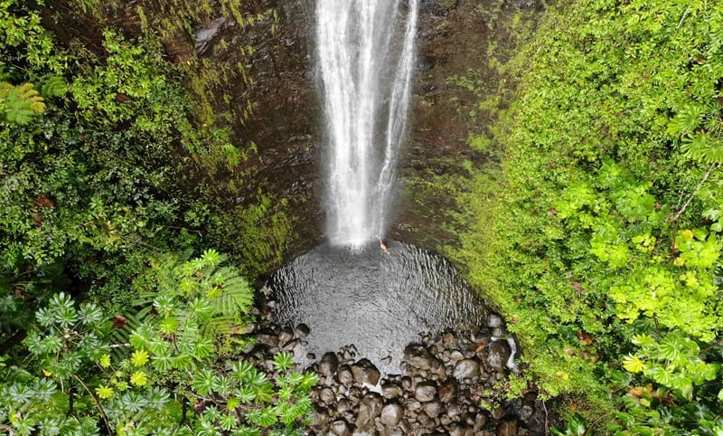 manoa-falls