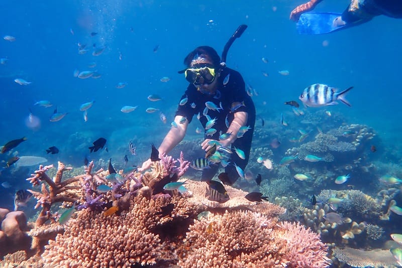 snorkeling in waikiki