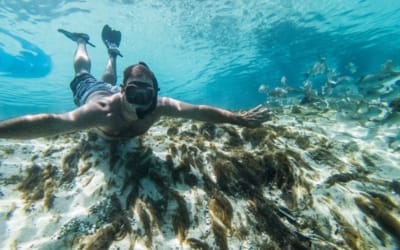 Snorkeling Waikiki: The One Activity You Absolutely Can’t Miss on Oahu