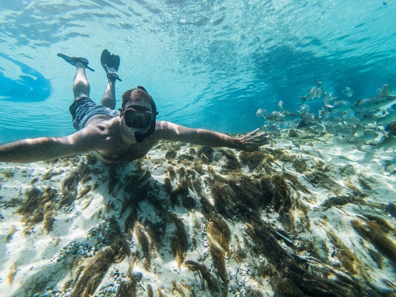 snorkeling waikiki